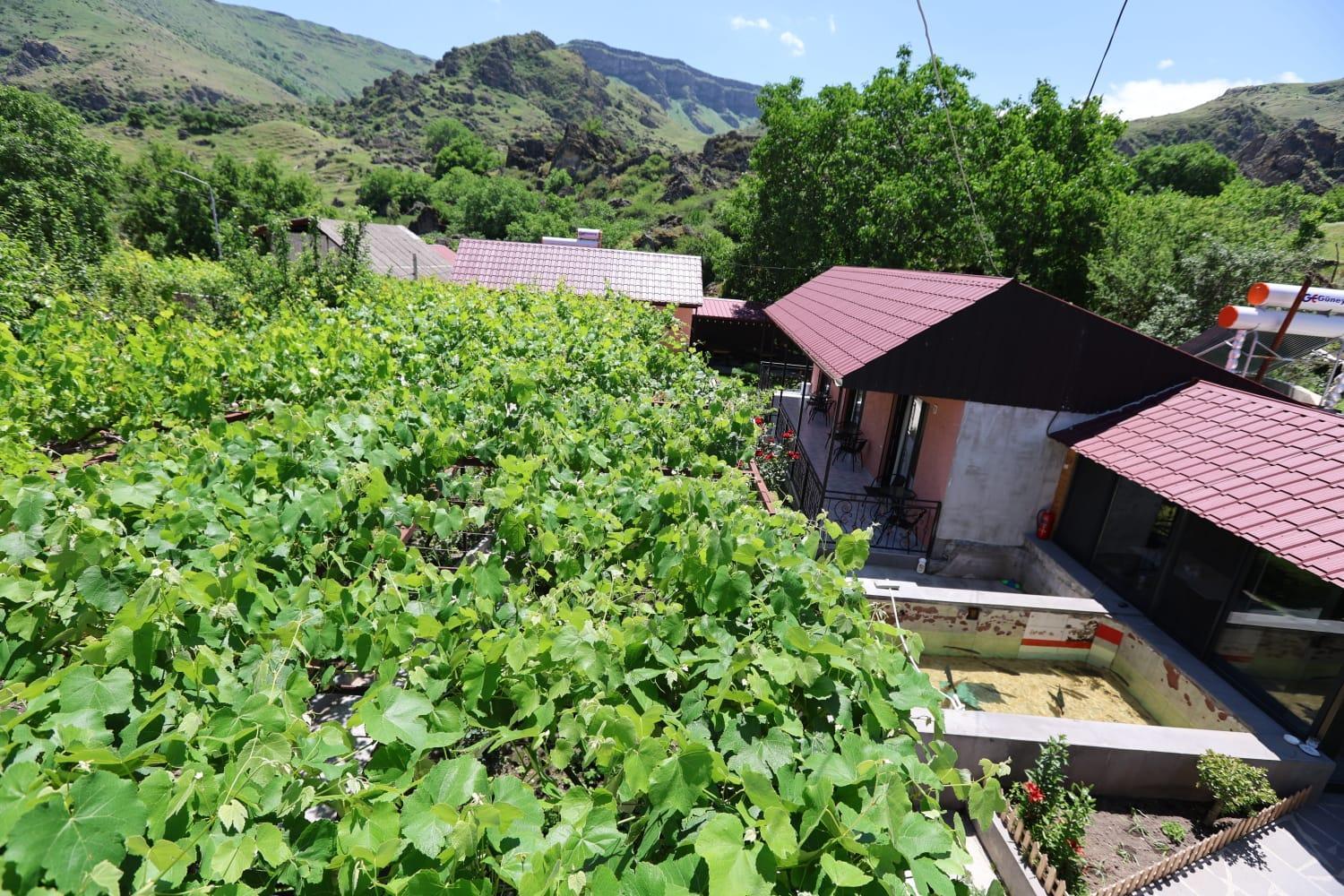 Hotel Tsiskari วาร์ดเซีย ภายนอก รูปภาพ
